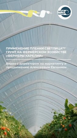 Как плёнка НПФ «Шар» показала себя на фермерском хозяйстве за 2 сезона 🌱⚒️