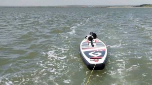 В Приморье нашли тело мужчины, пропавшего во время плавания на сапборде