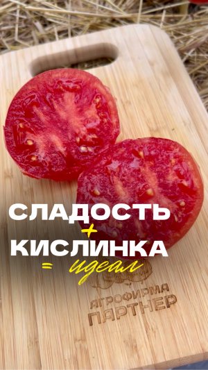 🍅 Томат, мимо которого невозможно пройти!