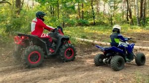 Денис и Папа оттащили упавшее дерево в лесу на квадрик