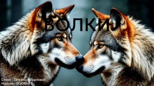 ВОЛКИ трек к сборнику стихов Татьяны Абрамовой "Я НЕ БОЮСЬ О ЧУВСТВАХ ГОВОРИТЬ"