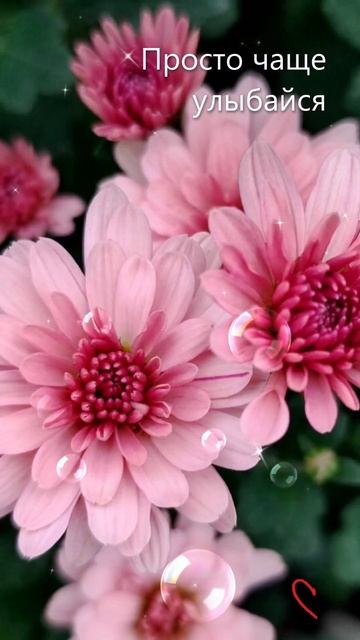 "Доброе утро" 295 смотреть онлайн