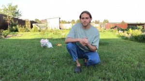 Здоровые розы без обработок? Да! Это возможно. Топ-5 главных правил