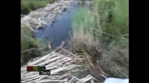 Снегоболотоход Макар