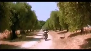 Как узнать время по яйцам осла