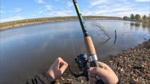 Осенняя рыбалка на КАРПА! Пуфики спасли всю рыбалку.