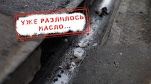 НОВОСТИ КАМЧАТКИ: УЖЕ РАЗЛИЛОСЬ МАСЛО…