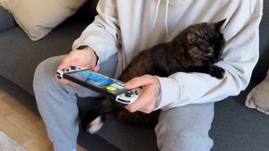 Стоит ли покупать Nintendo Switch в 2025? И почему тебе не нужно