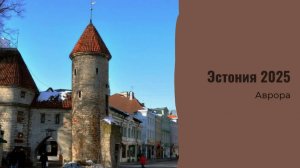 ТАРО #Аврора #гадание Эстония 2025