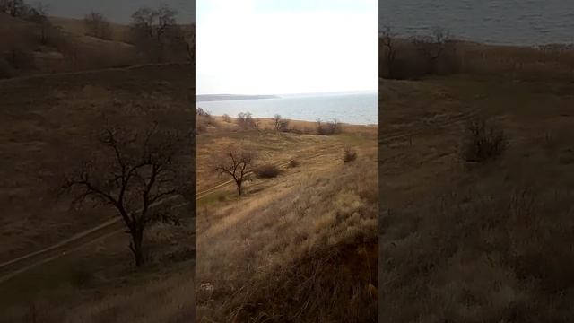 Лабрадоры питомник " Victoria's style black velvet" смотреть онлайн