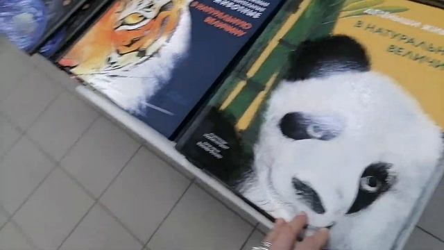 МОСКВА-2025/Гоголевский б-р/АРБАТ/м-н Твоя полка/Дом книг смотреть онлайн