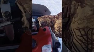 Стелс капитан,переключение скорости без треска тольк?