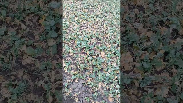 Нарезка с работы 2024