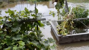 наводнение 2016 г