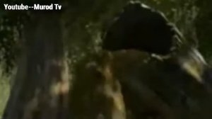 Шрек точики акорати 1 част