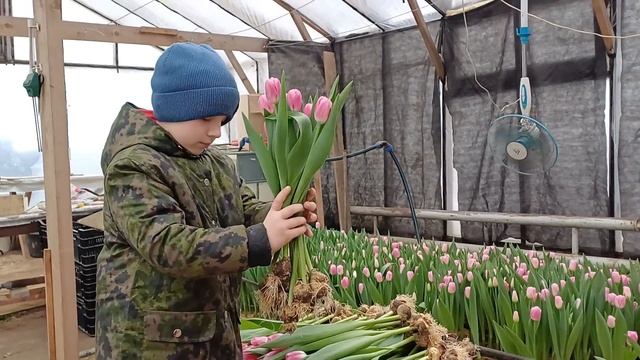 Дарите женщинам цветы. А мы стараемся сделать ваш праз