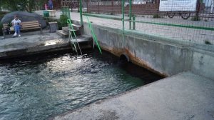 Путешествуе по городу Ростову-на-Дону. Родники Сурб Хач