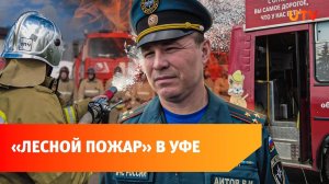 Кто поджёг лес? В Уфе прошла тренировка по тушению пожаров