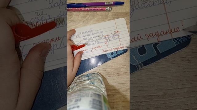 Проверяю игрушечные тетради.