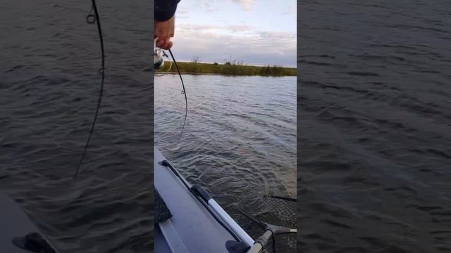 Рыбалка!!!