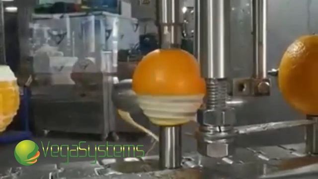 Машина Vega MP H800 A очистка кожуры и удаление косточки манго смотреть онлайн