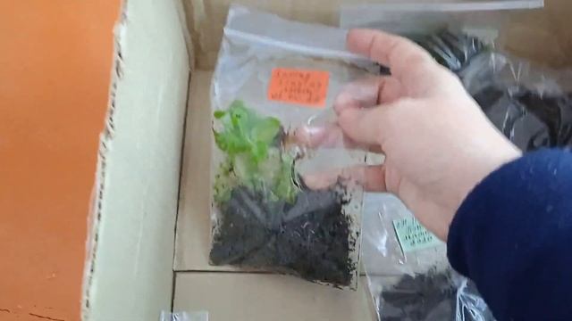 Тимоша выбрал новый лежак #котики смотреть онлайн