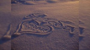 На белом-белом покрывале января / Сергей Васюта