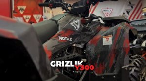 Взрослый бензиновый квадроцикл MOTAX GRIZLIK Y300