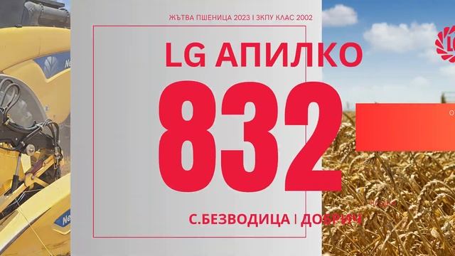 ПШЕНИЦА ЖЪТВА I 18 юли 2023 с.Безводица обл.Добрич