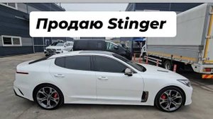 Продаю Stinger 3.3 Turbo - Замеры 0-100