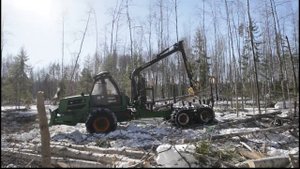 Форвардер Амкодор 2662-01 в работе