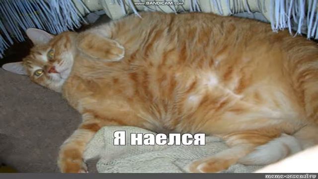 анекдот про мух ржака 2022 приколы смотреть онлайн