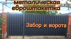 Забор и ворота из евро штакетника