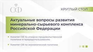 Актуальные вопросы развития минерально-сырьевого комплекса Российской Федерации
