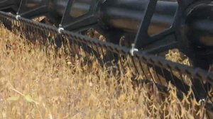 Жатка FLOAT STREAM – качество и скорость