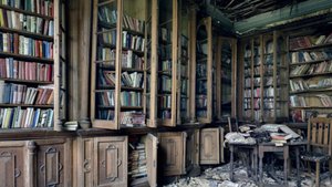 Когда Дюма-футболист. Дебилизация молодежи во Франции