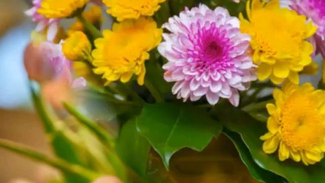 468. Нежные букеты цветов (выпуск 2) смотреть онлайн