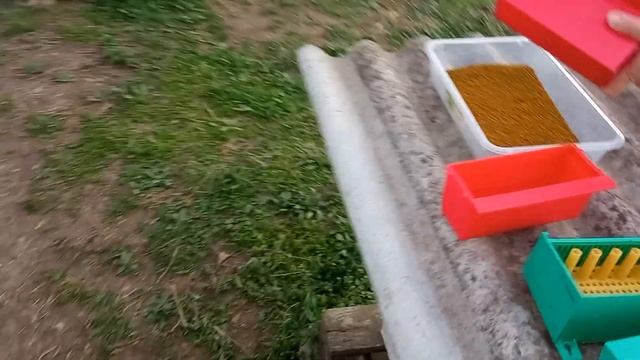 Второй день товарного пыльцесбора с абрикоса.Пыльцы р смотреть онлайн