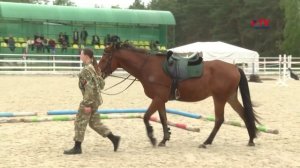 Рубка шашкой, метание ножей и работа с лошадью: необычные соревнования для детей прошли в Воронеже