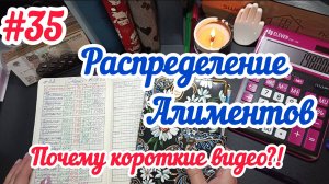 #35 Распределение алиментов/Много возмущений.поясняю. 14.05.25