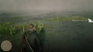 Западноамериканская жаба (west american toad) Red Dead Redemption 2