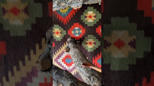 Чуть ложку не съел 😍 #белка #приколы #funny #animals #cute