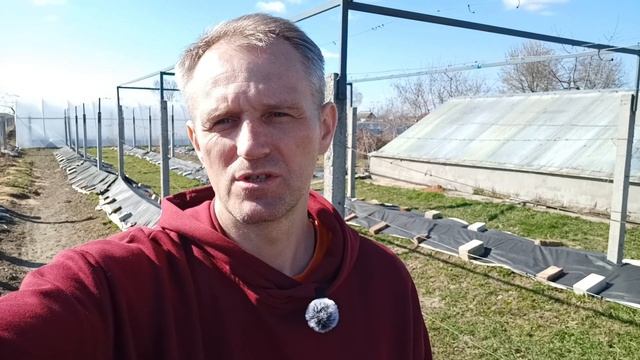 Когда же раскрываем виноград и инжир .Зацвёл банан и ц? смотреть онлайн