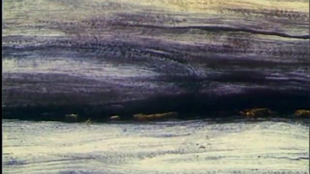 Раз горох, два горох смотреть онлайн