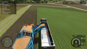 FS25! УБОРКА МОРКОВКИ НА ФЕРМЕ. ЗАПУСК ПРОИЗВОДСТВА ТКАН