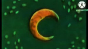 Спят усталые игрушки {эффект}