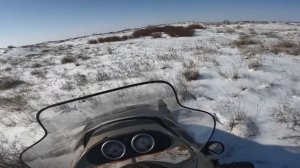 Охота на волка в Казахстане 2025. Последний танец зимы! #w