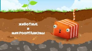 Почва (видео)