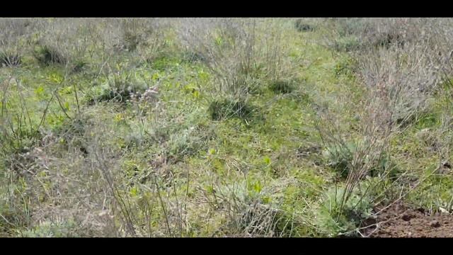 Находка моей мечты ! Нашел шикарную медаль ! смотреть онлайн