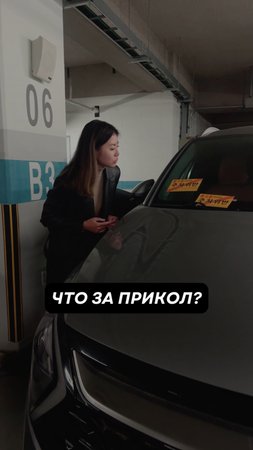 Что за жёлтые обрывки на лобовом стекле?